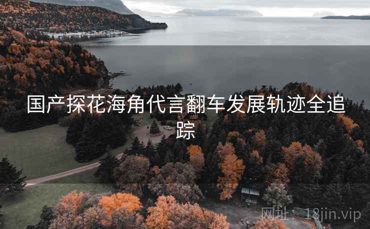 国产探花海角代言翻车发展轨迹全追踪