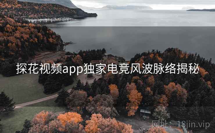 探花视频app独家电竞风波脉络揭秘 探花视频app独家电竞风波脉络揭秘