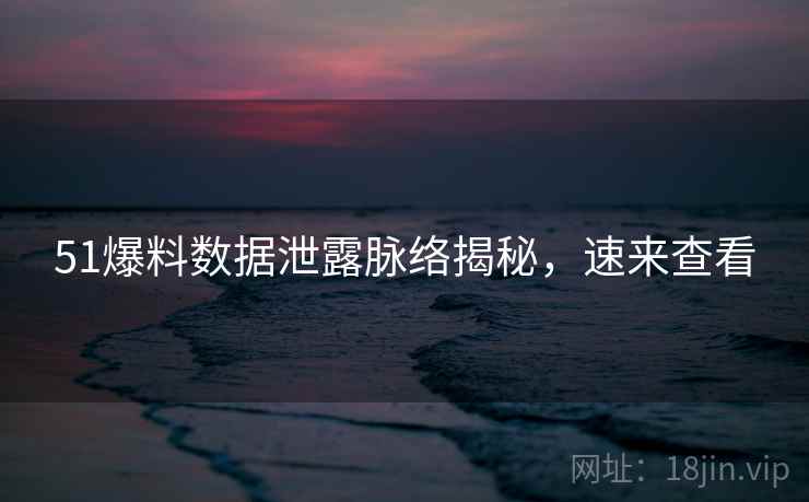 51爆料数据泄露脉络揭秘，速来查看